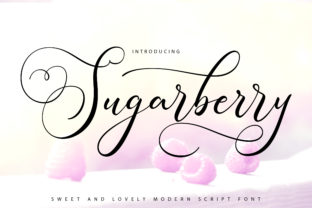 Choosing Sugarberry for Campaign Typography That Connects