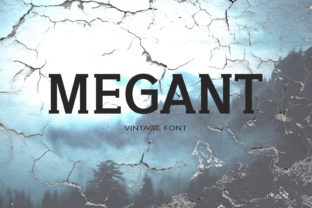 How Megant Font Can Elevate Your Campaign Visuals