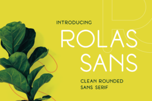 How Rolas Sans Adds Visual Appeal to Editorial Design