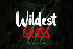 How the Wildest Grass Font Creates Calmer Editorial Layouts