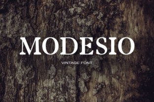 Modesio Font: Your Go-To Typography for Scroll-Stopping Marketing