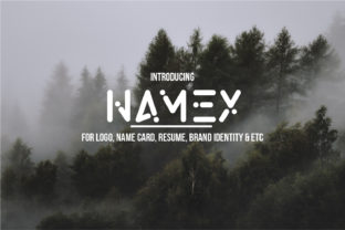 Namex: A Font for Building a Memorable Business Brand