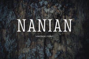 Nanian: A Modern Serif Font for Creative Branding