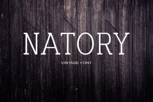 Natory: The Modern Serif Font for Creative Products