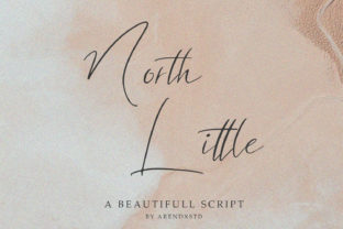 North Little Font Review: An Elegant Script for Authentic Branding