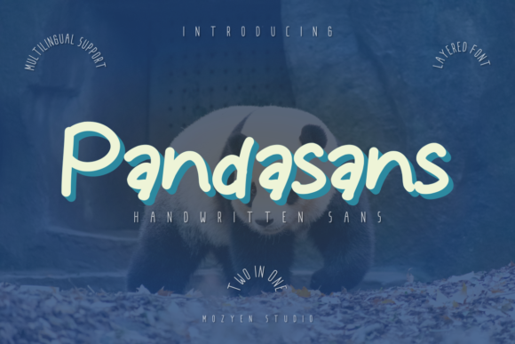 Pandasans: The Playful Typeface for Editorial Expression