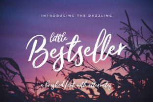 The Little Bestseller Font for Creative Projects