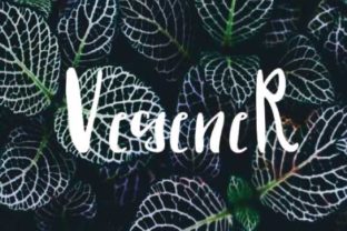 Vegener Font Review for Small Business Branding