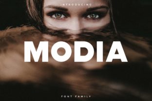 Why Your Small Business Needs a Bold Font Like Modia